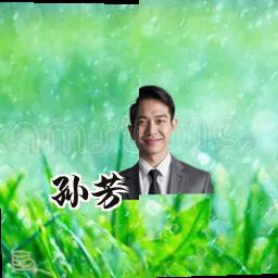 孙芳